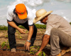 Governo de Mato Grosso regulamenta fundo para destinar recursos a agricultura familiar
